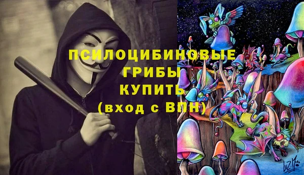 молекула духа Бронницы